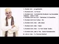 Haddad alwi  sholawat merdu menyrntuh qolbu full album