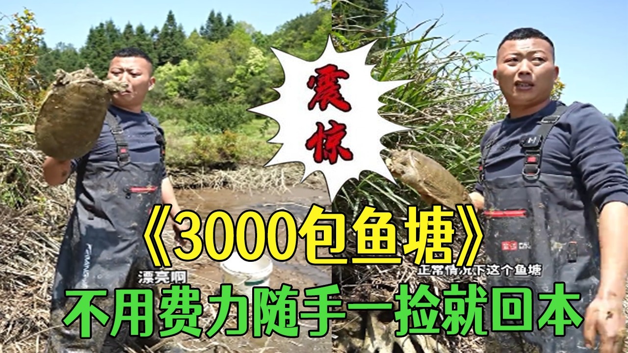 花3000包個大魚塘，不用費力隨手壹撿就回本 #小飛哥#三農 #新農人計劃2026#鄉村守護人 #護外#包塘