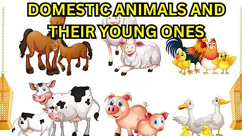 Domestic animals and their Young ones/animals and their babies