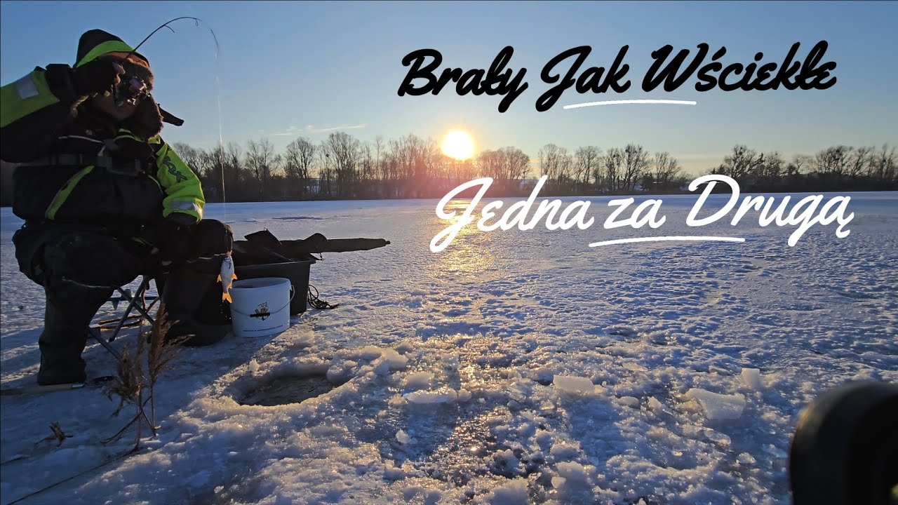 Brały jak Wściekłe Wędkarstwo Podlodowe w Lutym 2026