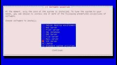 1. Debian 7 Expert mode installation