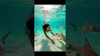 Bora Bora, French Polynesia 💗🤯 #shorts #short #ytshorts #viral #trending