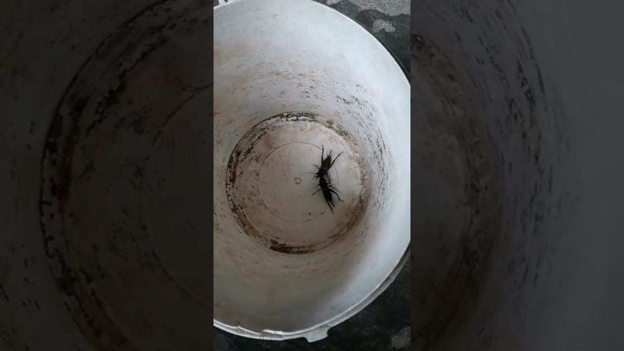 tuổi thơ dữ dội ai từng chơi trò này cho cái bình luận 