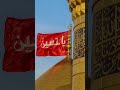 new naat video naat 🥺#new#naat #love #viralvideo #trending #beautful yha ali yha hussain 👆🏻#virals