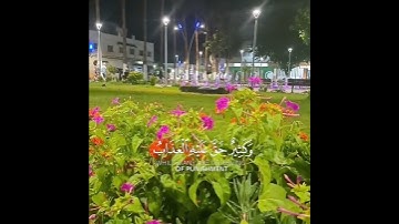 سورة الحج الآية 18 ياسر الدوسري