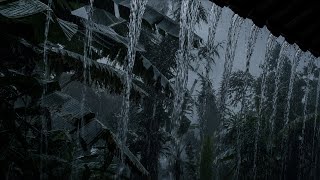 Sleep Instantly! Storm Wind & Heavy Thunder in Tropical Forest ⛈️ (No Ads) | Deep Sleep All Night