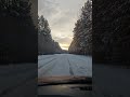 Winter road #2023 #лес #природа #forest #snow #снег #nature