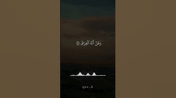 سورة القيامة بصوت الشيخ ياسر الدوسري 🕊️🌿