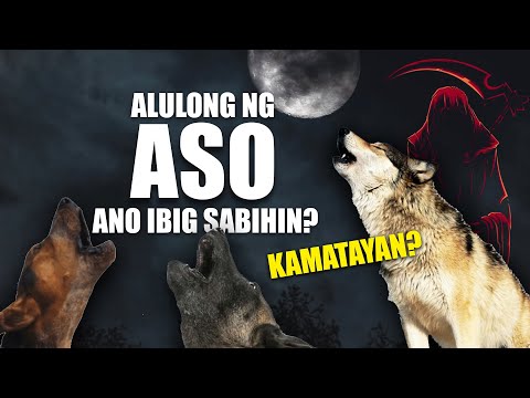 Video: Sino ang pinakamatandang tao sa mundo?