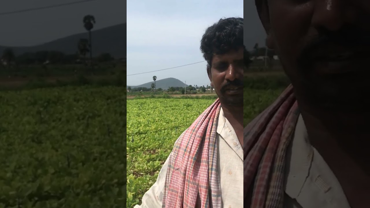 FFF ⭐ farmer ⭐ farming ⭐ finance   issues