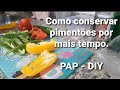 Como conservar pimentões por mais tempo - PAP - DIY