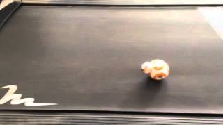BB-8 on a treadmill