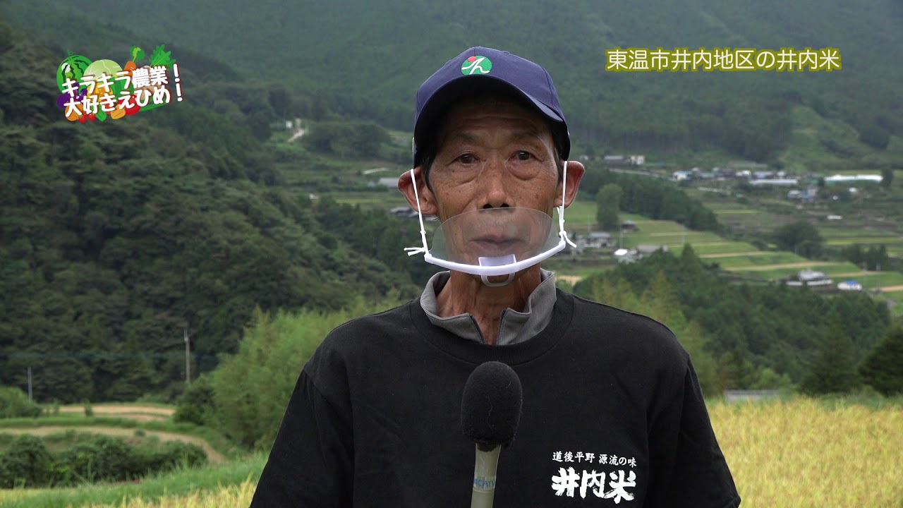 キラキラ農業！大好きえひめ！東温市の井内米編