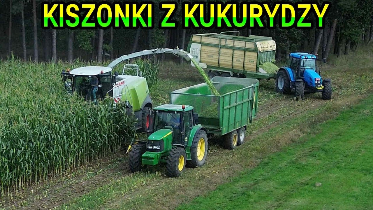 🌽KISZONKA Z KUKURYDZY!!/PIERWSI WE WSI❗️❗️