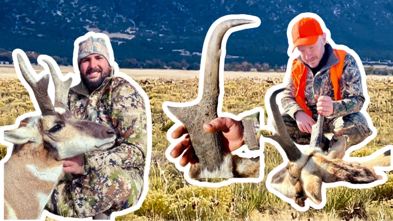 Pronghorn Hunting! (3 BIG ANTELOPE In Colorado!) *Bow Give-A-Way Way