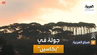 صباح العربية | منازل خشبية برائحة الصنوبر مخصصة للسياح في بكاسين بلبنان