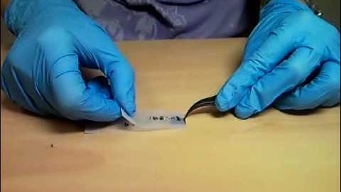 Making Graphene 101, Ozyilmaz