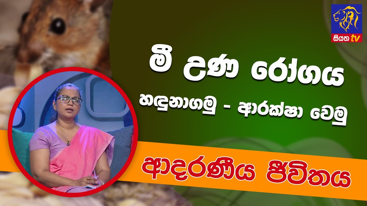 මී උණ රෝගය හදුනාගමු - ආරක්ෂා වෙමු | ආදරණීය ජීවිතය | 05-07-2022