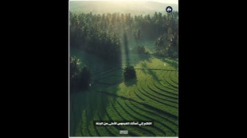 ﴿قيلَ ادخُلِ الجَنَّةَ قالَ يا لَيتَ قَومي يَعلَمونَ﴾ تلاوة خاشعة بصوت القارئ فارس عباد  #الجمعة
