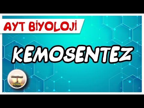 AYT Biyoloji | Kemosentez #sayfa168 / AYT Biyoloji