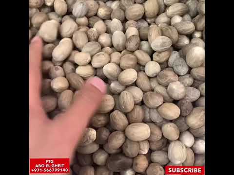جوزة طيب سيرلانكى بضاعة جملة دبى    