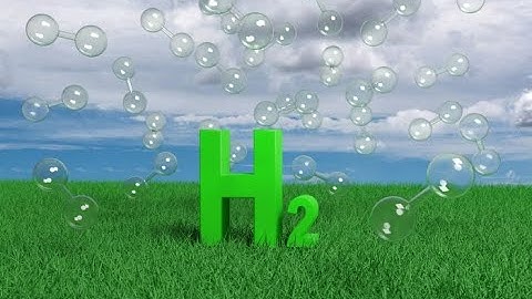 Exploring Hydrogen Meet -  Protium, Deuterium, and Tritium