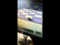 Goat Simulator - broken alpha footage v2