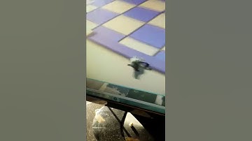 Goat Simulator - broken alpha footage v2