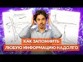 Как быстро запоминать информацию надолго / Потенциал нейронных связей