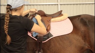 Trying on my custom saddle! - Chit chat tack up with me 2020 corona version