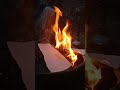 A Beautiful Winter Scene #shortsviral #shorts #viral #video