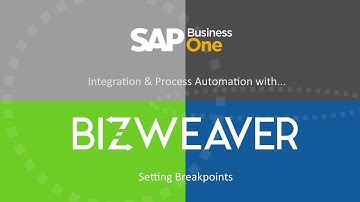 SAP Business One Integration Bizweaver Breakpoints