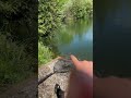 Big perch…  #fishing #carp #perch #rods