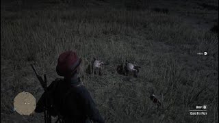Red Dead Redemption 2 "Daily Foxes Skinned" Fast/Easy screenshot 5