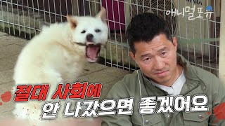 보호자의 입원으로 방치된 진돗개는 결국 사람을 물고 말았다.. 역대급 사나운 개를 본 강형욱의 한 마디.. | KBS 놓친 예능 따라잡기 230622 방송