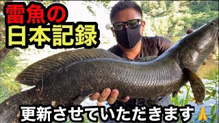 雷魚釣り 皆さんはじめまして 雷魚の日本記録更新しにきました Youtube