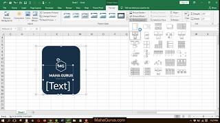How to Insert Picture Accent List in Excel- Picture Accent List in Excel Tutorial
