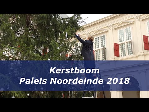 Kerstboom Paleis Noordeinde