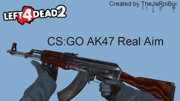 L4D2 Workshop Showcase: CS:GO AK47 Real Anim