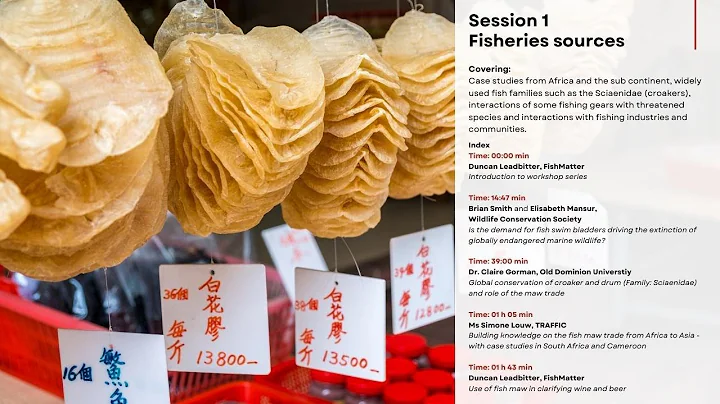 Workshop Day 1: Use of Fish Maws – Implications for Species, Fisheries, People and Sustainability