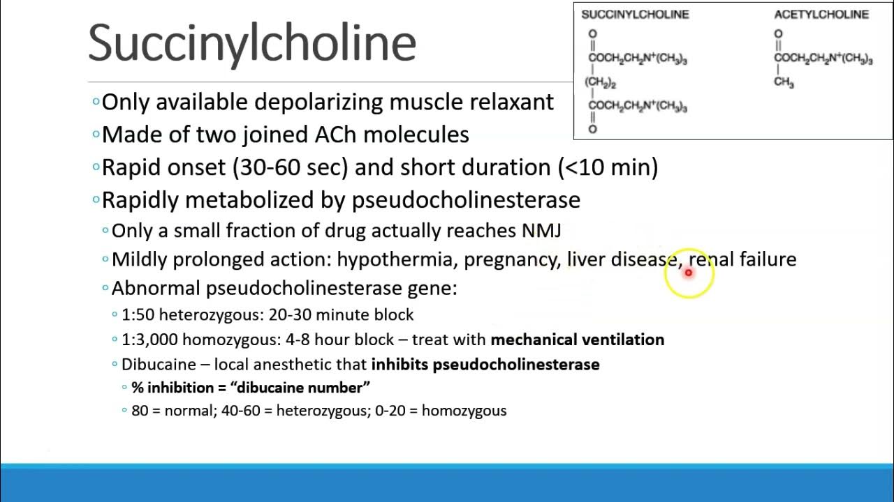 Pharmacology for Anesthesia 07 NMB Agents and Reversal Drugs Part 1