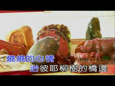 酸風柳樹-伴唱版