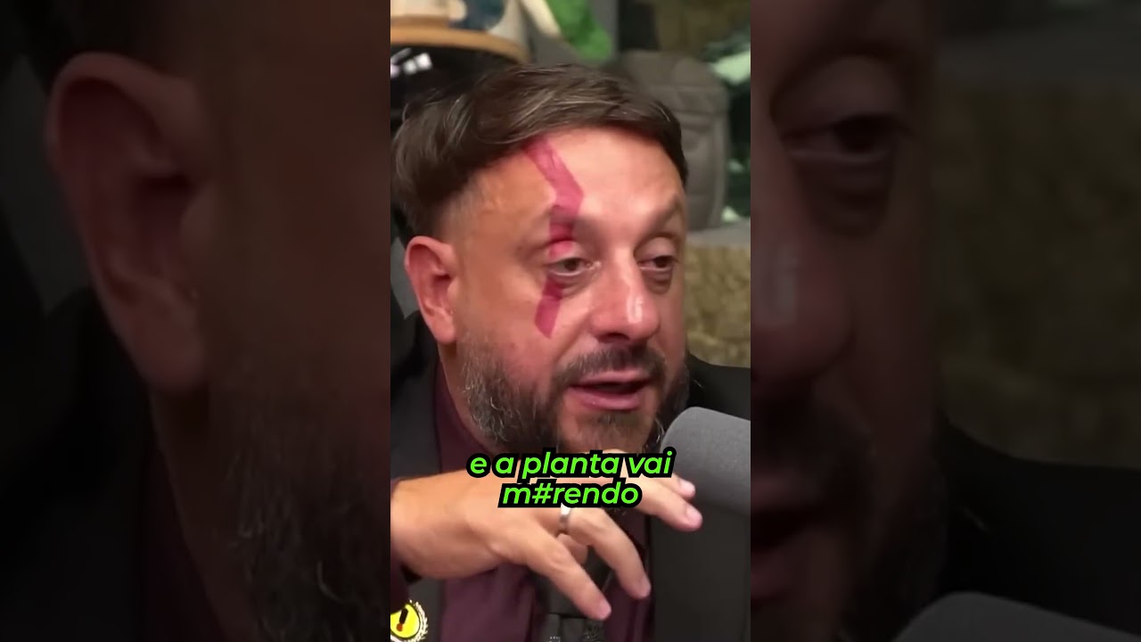 BILOGO HENRIQUE comenta SOBRE a JAQUEIRA dentro da FLORESTA DA TIJUCA com RICHARD RASMUSSEN