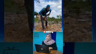 Pria Ini Tanam Ribuan Pohon di Hutan Tandus! Hasilnya Bermanfaat Bagi Banyak Orang #shorts