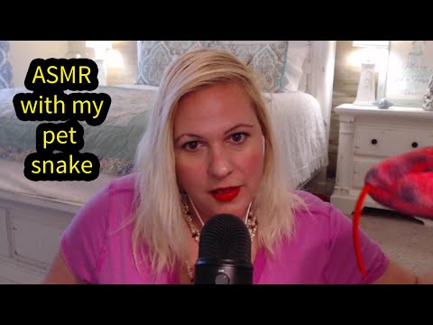 ASMR with my pet snake Eddie
