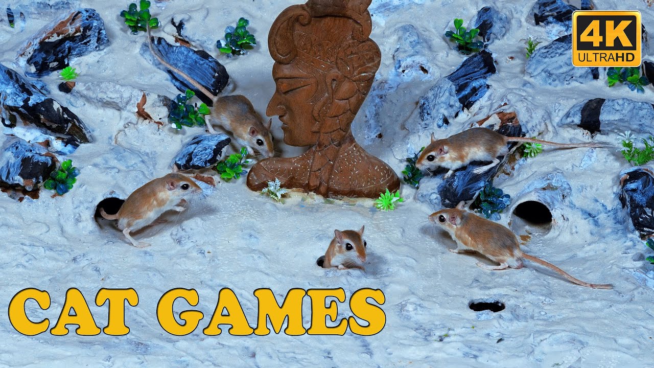 Cat TV | Mouse Video for Cats to Watch | Cat Games Mice Hide & Seek On Screen 4k 8 Hours