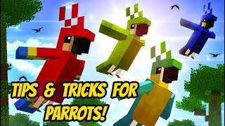 Minecraft Parrots 1.14 Tips & Tricks!