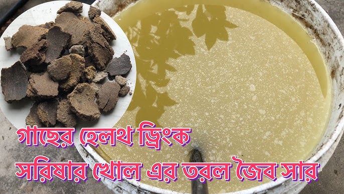 সর্ষের খৈলের জৈব সার