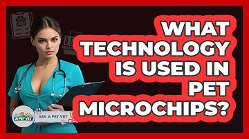 What Technology Is Used In Pet Microchips? - Ask A Pet Vet