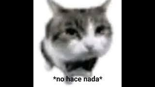 𝐋𝐚 𝐎𝐜𝐜𝐚𝐬𝐢ó𝐧 [𝐒𝐩𝐞𝐞𝐝 𝐔𝐩]